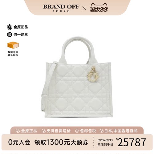 DIOR迪奥95新托特包A级女包
