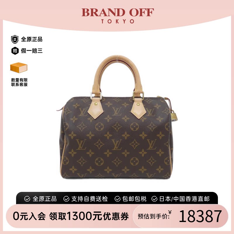 LV路易威登A级95新老花手提包图片