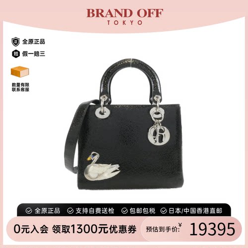 DIOR迪奥戴妃包95新斜挎女包
