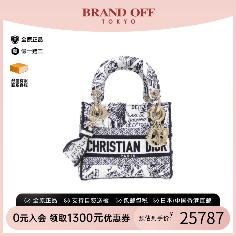 DIOR迪奥PlandeParis斜挎女包