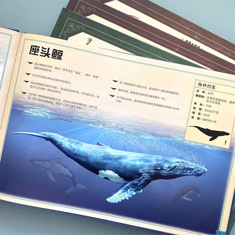 大小能目测的动物绘本3&ndash;6岁幼儿儿童宝宝书籍阅读动物大百科硬皮侏罗纪恐龙海洋图书英国引进精装硬壳百科全书大绘本童书纸贵满堂