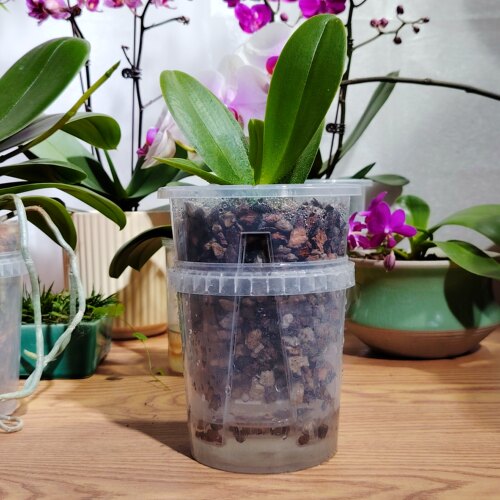 蝴蝶兰专用储水青山盆套装花盆