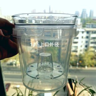 高透明硬质控根观根盆蝴蝶兰专用花盆透气文香兰石斛兰半水培套盆