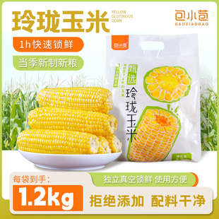 新季 玉米包小苞玲珑玉米棒黄糯苞米新鲜甜非即食早餐粗粮东北特产