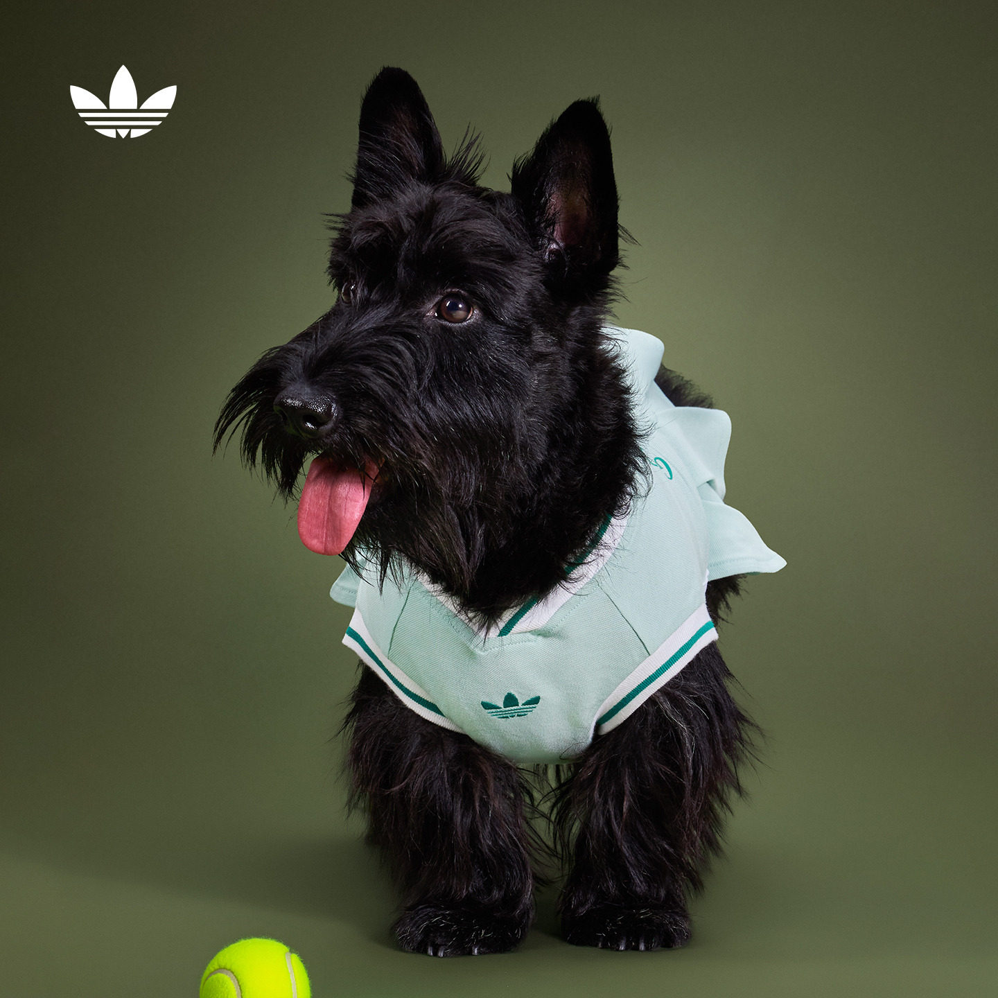 宠物衣服中小型犬网球风连衣裙百褶裙狗狗猫咪秋季adidas阿迪达斯图片