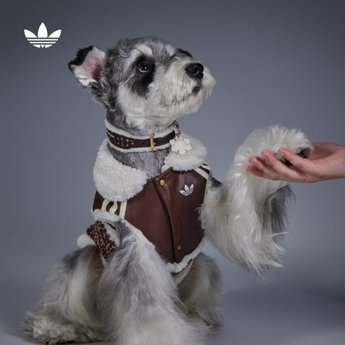 宠物服饰狗狗猫咪新款adidas阿迪达斯官方三叶草