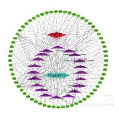Ppi,蛋白互作,cytoscape, hub gene,网络药理学,聚类热图 - 实物图