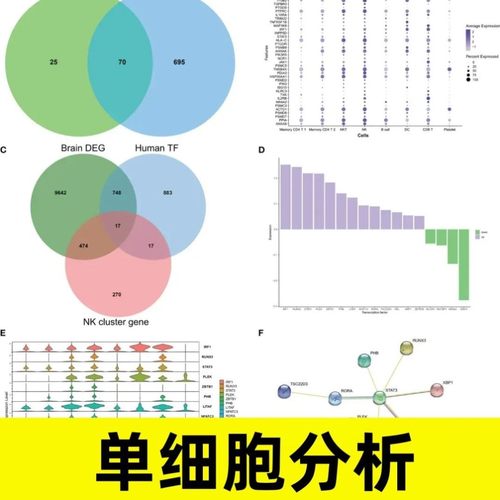 生信分析定制服务2-9分TCGAGEO数据库挖掘差异基因富集单细胞测序