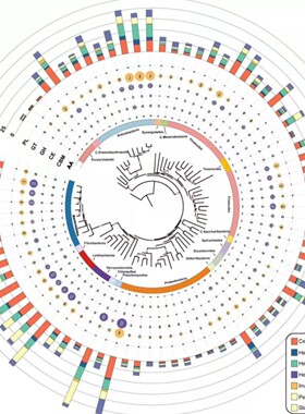 热图韦恩图火山图森林图气泡图单细胞miRNA靶基因转录组RNAseq