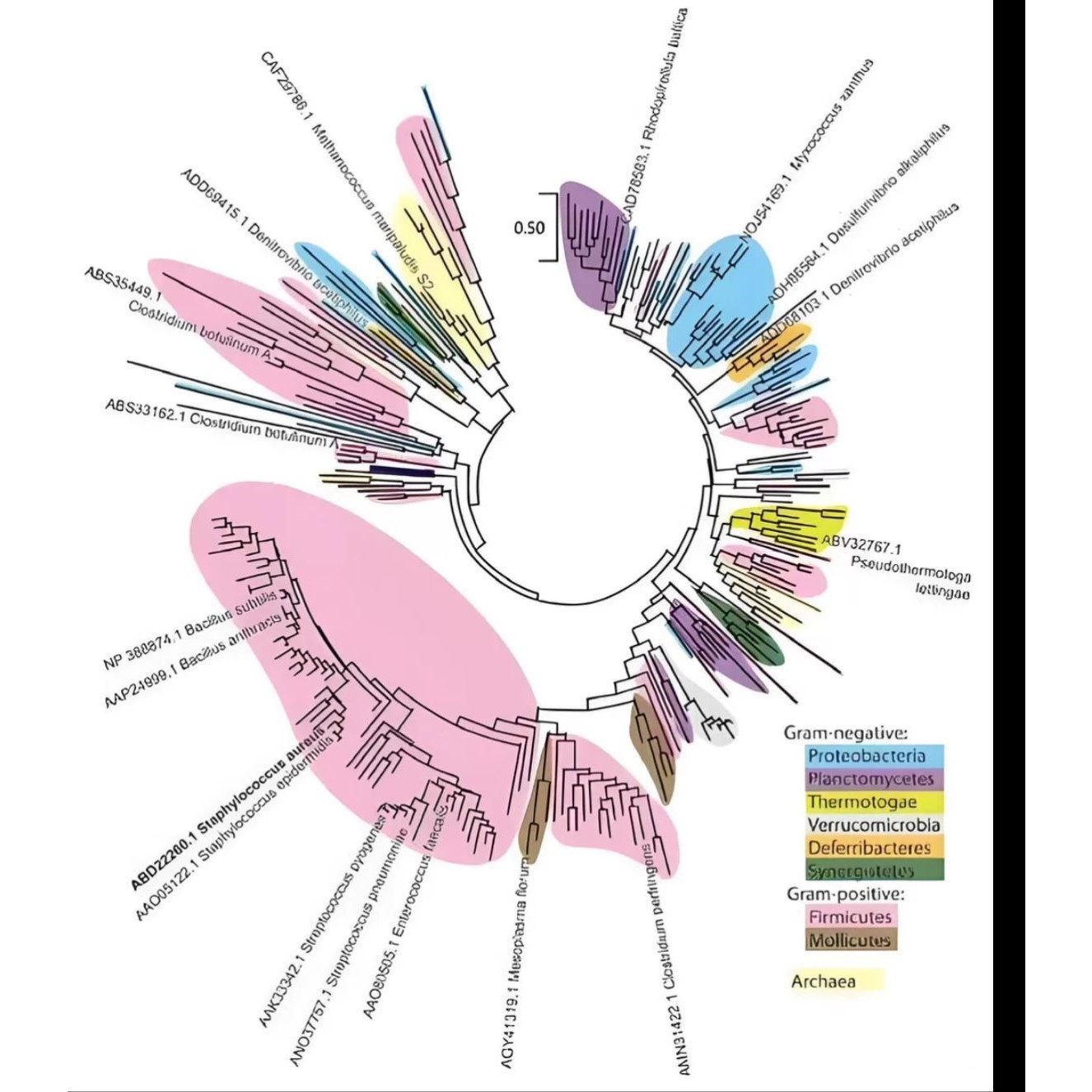 R语言代做rstudio统计量金融经济时间序列编程python机器深度学习