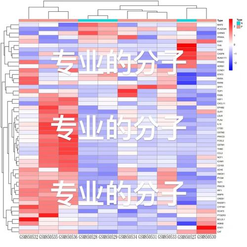 网络药理学SCI文章发表视频教程选题预测药物作用靶点验证实操