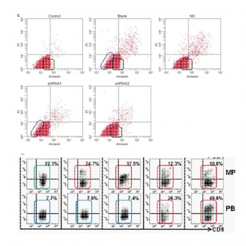 Pubpeer图片查重科研科学SCI检测生物医学流式细胞实验图片误用