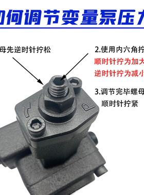 台湾凯利通VP-DF-20-DVP-D液压油泵F-40-D 30 C B A 12 15叶片泵