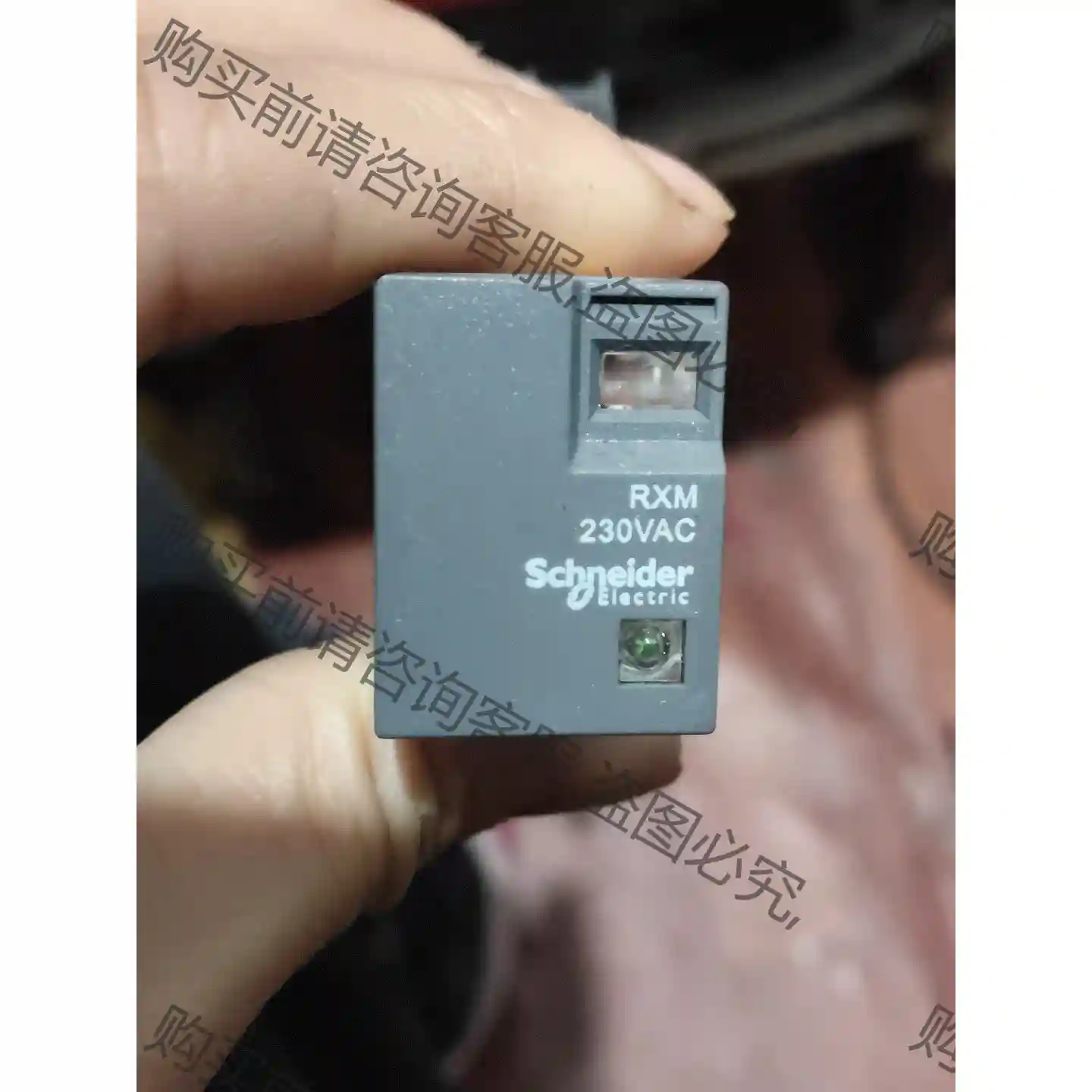 施耐de中间继电器RXM2LB2P7 议价再拍 拆机件