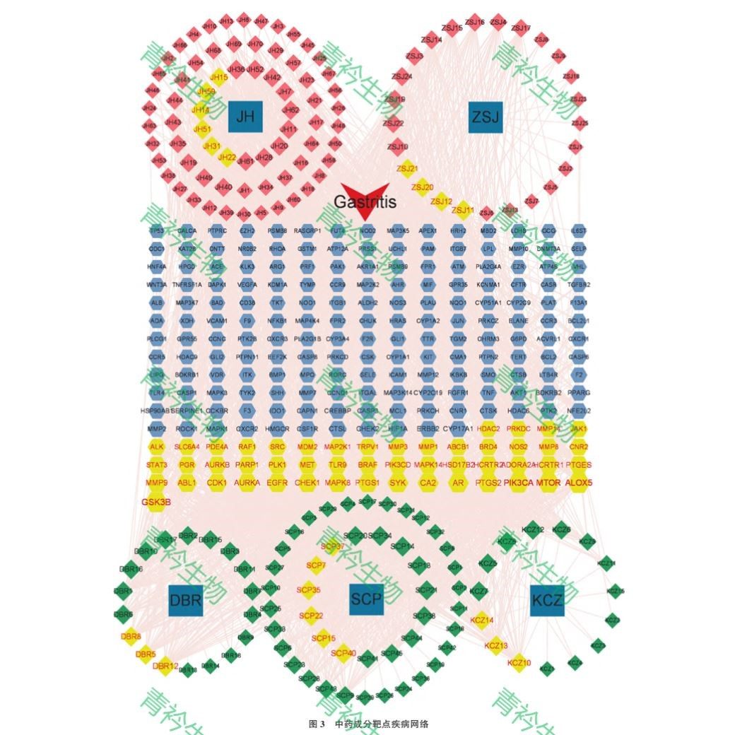 网络药理学/分子对接/分子动力学/网药/生信/SPR