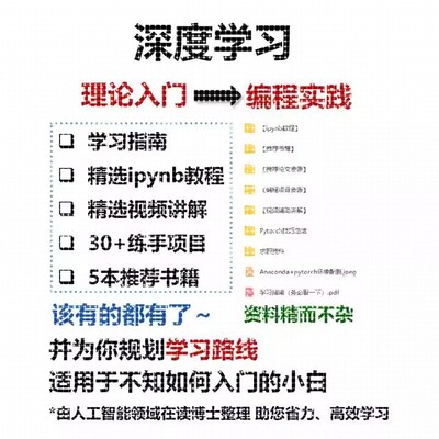 深度学习 神经网络/AI人工智能/入门级学习资料/编程项目/Pytorch