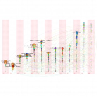 citespace知识图谱citespace代做citespace可视化数据分析