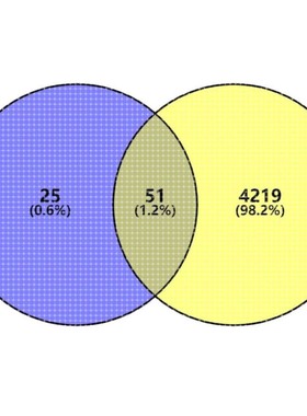 venn图,PPI蛋白质互作网络,kegg富集分析都可以做