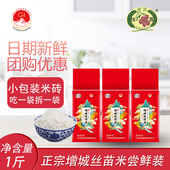 挂荔甄选丝苗米500g广东大米1斤装 米砖小包装 煲仔饭专用长粒香米