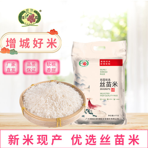 挂荔优选丝苗米广东长粒香大米