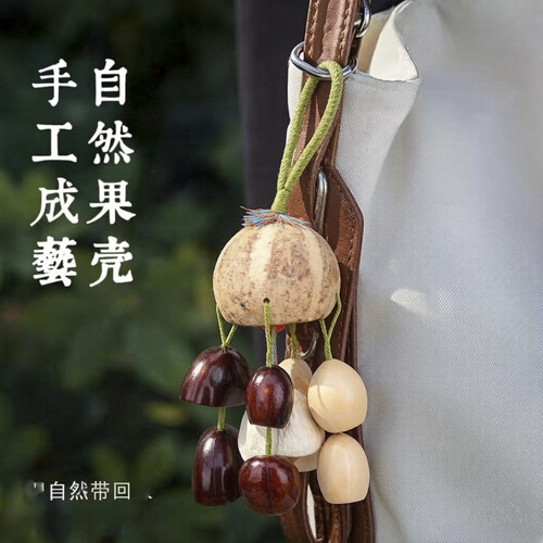 手工材料包简约现代自然果壳