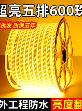 灯带led灯条220V超亮白暖光客厅吊顶室外户外防水线灯工程氛围灯