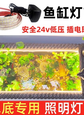 鱼缸水缸灯带水底灯条led古法鱼缸养鱼24v实心灌胶防水可泡水
