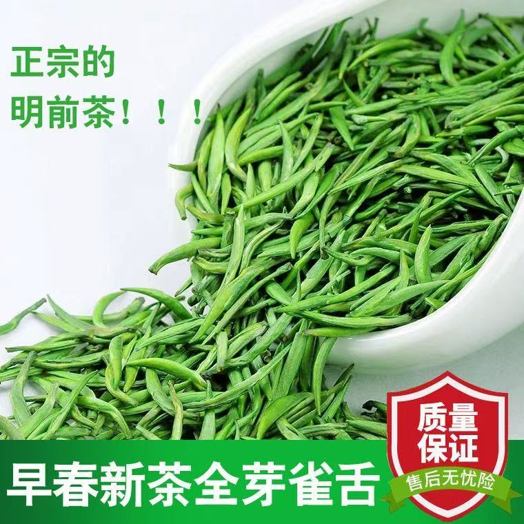 竹叶青茶叶旗舰店官方旗舰雀舌绿茶2022新茶雀舌毛尖明前特级高山