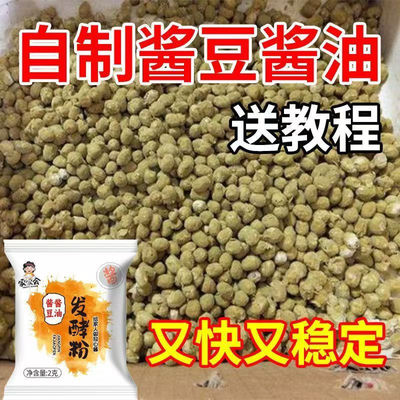 酱油发酵粉发酵菌自制酱油东北大酱西瓜酱酱品曲粉黄豆酱家用