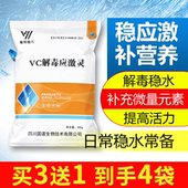 水产vc鱼用抗应激诱食消食开胃水产养殖维生素c免疫电解多维