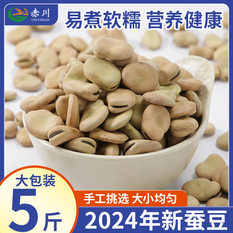 赤川生蚕豆5斤装当季新豆农家自产干蚕豆五谷杂粮新鲜胡豆罗汉豆