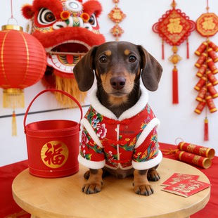 腊肠犬专用衣服2025新款冬季棉衣小狗过冬服装狗狗东北大花花袄厚