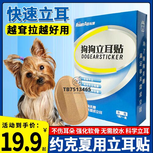 约克夏专用狗狗立耳神器小狗耳朵立耳器立耳贴幼犬竖耳辅助器夹子