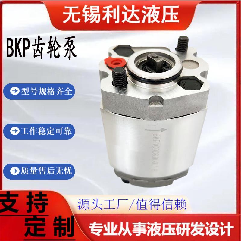 新款齿轮泵 BKP1Q0D8.0G0L1-B/BKP1Q0S2.7/S3.2/S1.6/S1.8/S4包邮