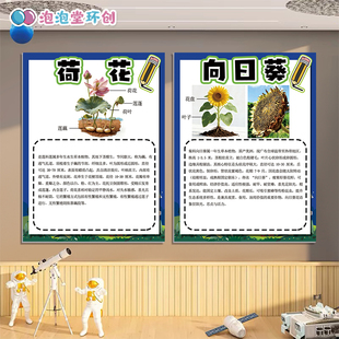 小学生植物百科种类科技馆草本农业作物图鉴水果认识挂图展板大全