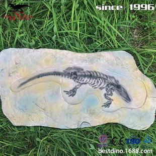 仿真恐龙动物化石居家收藏美陈摆件博物馆商场教学展品工厂制作.