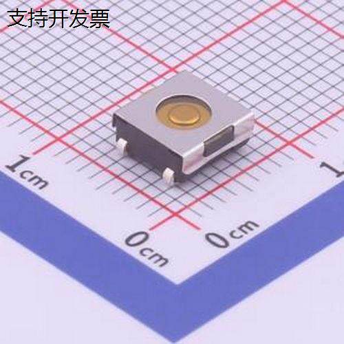 DTSJW-68V/R6.3*2立贴