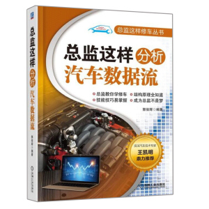 现货 总监这样分析汽车数据流 奥迪大众车系汽车数据流分析方法 汽车故障诊断检测修理技巧 汽车维修教程书 汽车数据流分析工具书