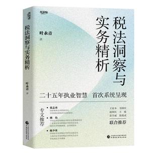 税法洞察与实务析 叶青 中国财政经济出版社9787522340777
