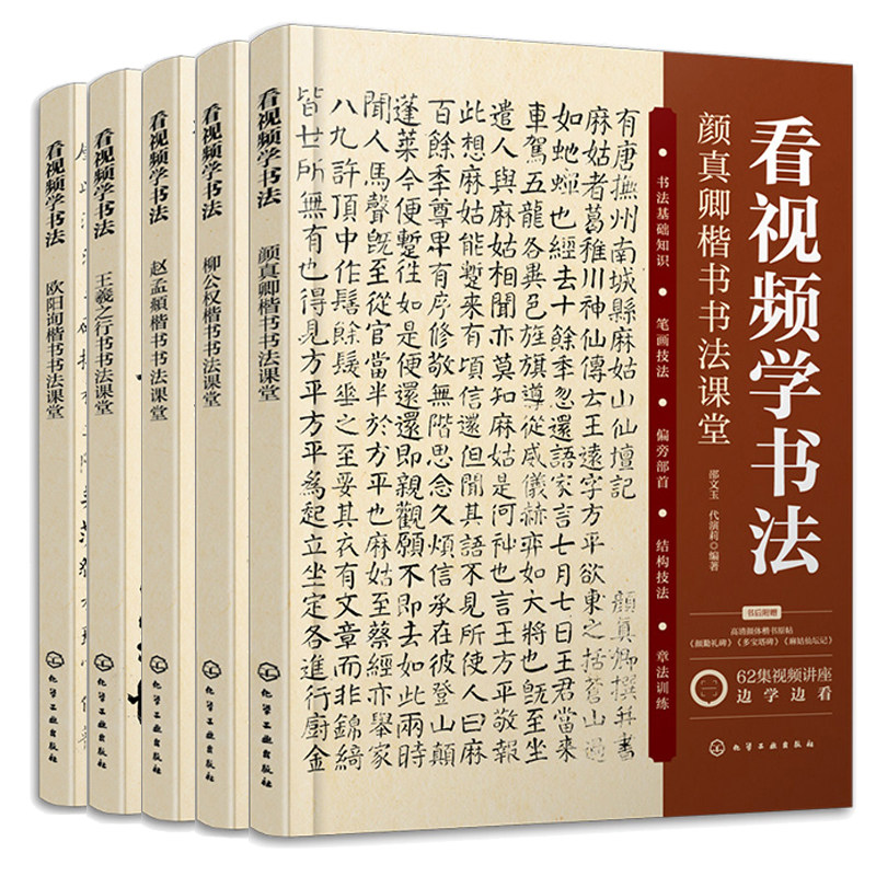 看视频学书法 颜真卿楷书书法课堂+王羲之行书书法课堂+欧阳询楷书书法课堂+赵孟頫楷书书法课堂+柳公权楷书书法课堂 5本图书籍