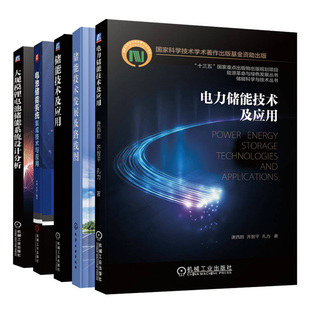 正版 储能技术发展及路线图+电力储能技术及应用+电池储能系统集成技术与应用+储能技术及应用+大规模锂电池储能系统设计分析 5册