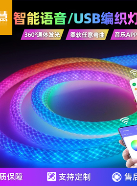 USB智能回流变色柔性硅胶编织幻彩流光 360度氛围霓虹led拾音灯带