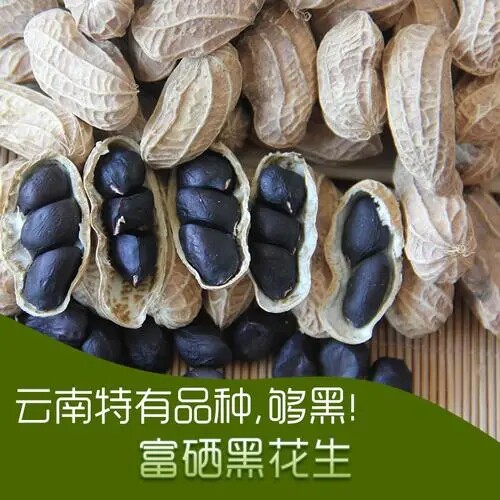 正宗云南高山农家自种富硒黑花生带壳七彩花生自然晒干无添加包邮
