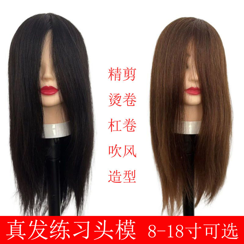 教习头模真发可精剪烫卷吹风