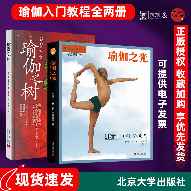 瑜伽之树+瑜伽之光 全2册 艾扬格瑜伽书 瑜伽教程初级入门 瑜伽教练培训教材瑜伽书籍零基础学瑜伽初学者体式大全塑身运动参考书