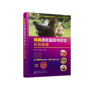 养鸡技术书籍 鸡病类症鉴别与诊治彩色图谱 孙卫东鸡病诊疗技术鸡病防治书籍 鸡常见症状的鉴别诊断与防控策略 养鸡兽医书籍大全