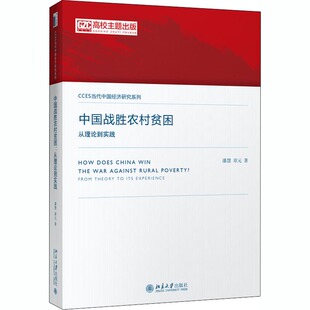 中国战胜农村贫困：从理论到实践潘慧9787301294871北京大学出版 社社会科学总论