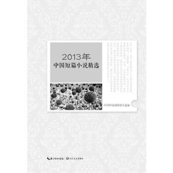 2013年 系列丛书：2013年中国短篇小说精 9787535470997长江文艺出版社  小说