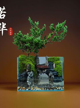 整套微景观生态鱼缸迷你