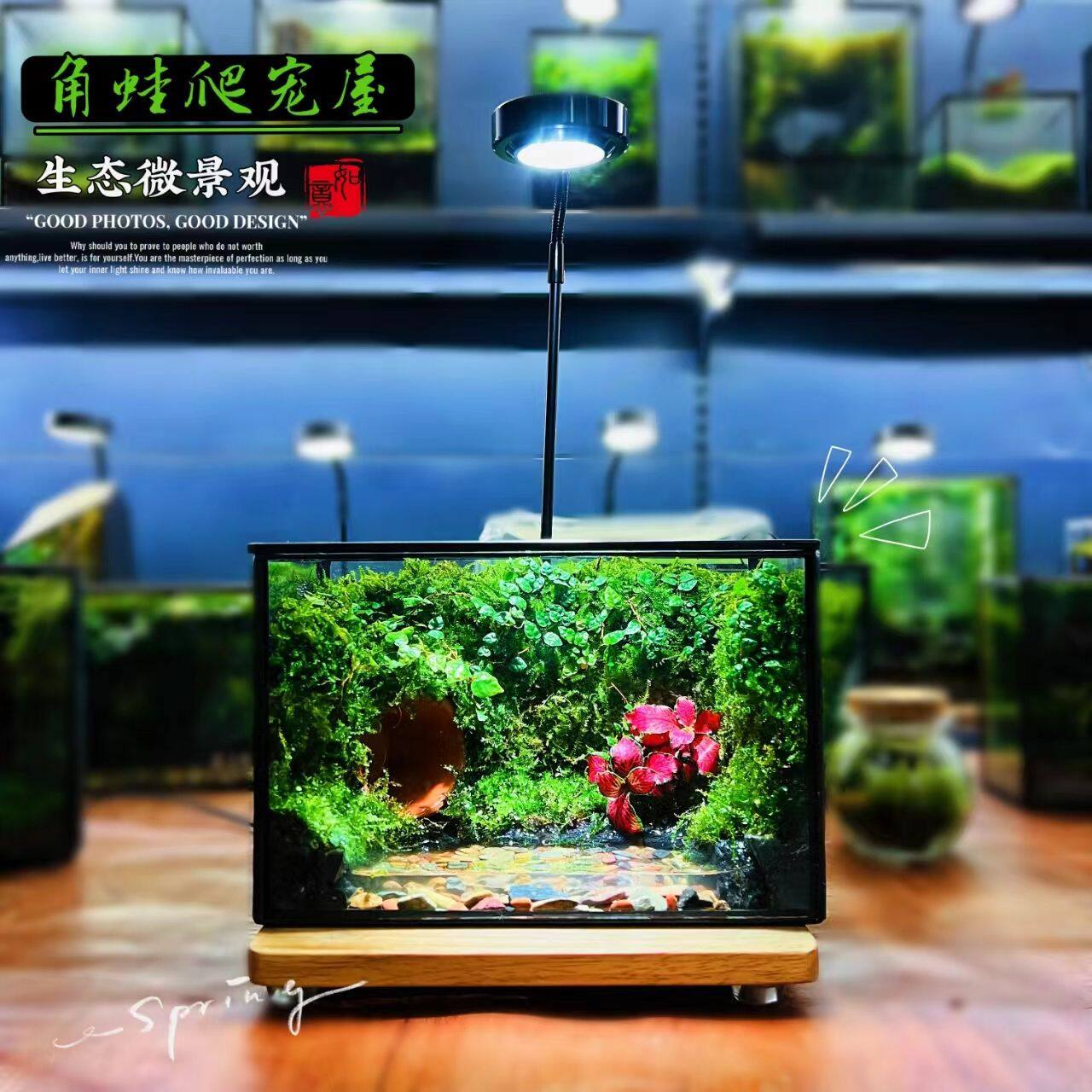 桌面摆件苔藓微景观养螃蟹角蛙树蛙雨林缸人造景生态瓶小生态型缸